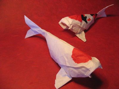 Couple de Carpes Koi
Modèle de de M. G. Lafosse, en papier blanc mûrier double traité au MC.
Mots-clés: poisson carpe koi tâche rouge noir MC mûrier Lafosse