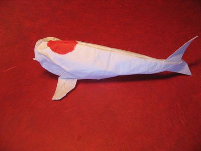 Carpe Koi 1 tâche rouge
Modèle de de M. G. Lafosse, en papier blanc mûrier double traité au MC.
Mots-clés: poisson carpe koi tâche rouge noir MC mûrier Lafosse