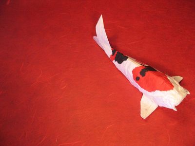 Carpe Koi multi-tâches
Modèle de de M. G. Lafosse, en papier blanc mûrier double traité au MC.
Mots-clés: poisson carpe koi tâche rouge noir MC mûrier Lafosse