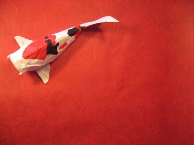 Carpe Koi multi-tâches
Modèle de de M. G. Lafosse, en papier blanc mûrier double traité au MC.
Mots-clés: poisson carpe koi tâche rouge noir MC mûrier Lafosse