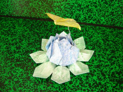 LOTUS AVEC PAPILLON
