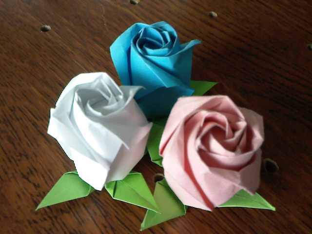 rose
