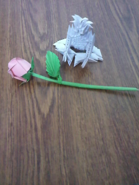 ROSE ET LA PATIENCE

