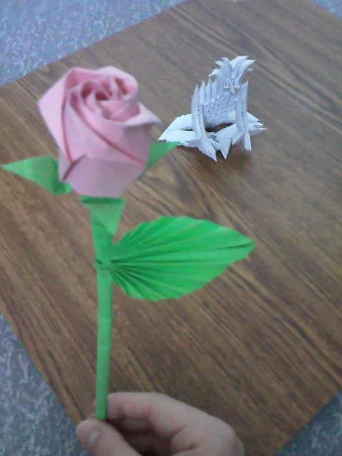 ROSE ET LA PATIENCE
