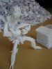 DSC07209.JPG