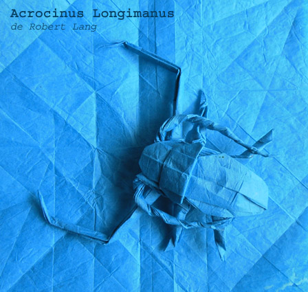 acrocinus.jpg