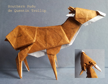 pudu_copie.jpg