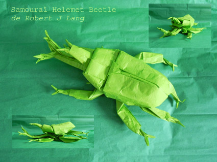 samourai_helmet_beetle.jpg