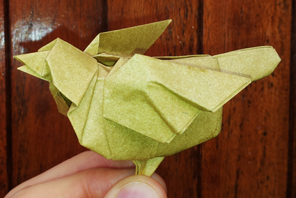 sparrow
