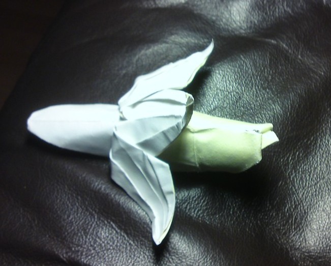 Banane pour challenge
1er essai wet folding ...raté ;-)
