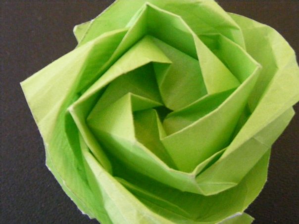 Rose de Kawasaki
pas trop ratée à mon gout, mais bon je suis novice
