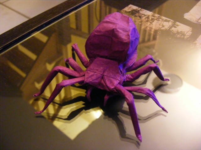 vuida negra de manuel Sirgo
