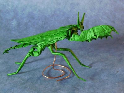 Mantis Boxer - Manuel Sirgo
Double soie vert, 42cm + MC, deuxième essai
Mots-clés: mante; mantis;sirgo