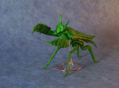 Mantis Boxer - Manuel Sirgo
Double soie vert, 42cm, deuxième essai
Mots-clés: mante; mantis;sirgo