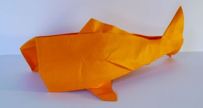 carpe Koï -Sipho Mabona
diagramme en stop-motion sur internet
Papier imprimante traité au MC 20*20
Mots-clés: carpe ; Mabona