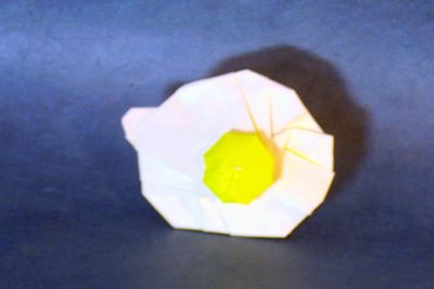 Oeuf sur le plat - Sebl
Kami de 15 cm bicolore, plié d'après le diagramme de sebl
Mots-clés: egg; oeuf; Sebl