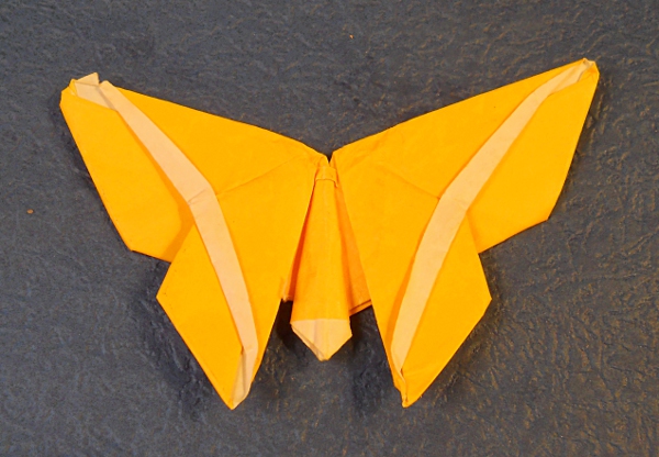 Papillon sur la base de l'armoire
Plié dans du papier origami 15x15 cm
