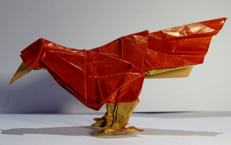 Calandria - Mocking bird - Moqueur
Papier kraft, carré de 25 cm.
Plié à sec puis un peu de wet-folding.
