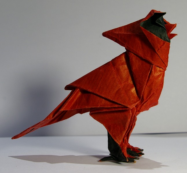 Cardinal chanteur
Papier kraft doublé de soie noire.
Dry fold puis wet-folding.
