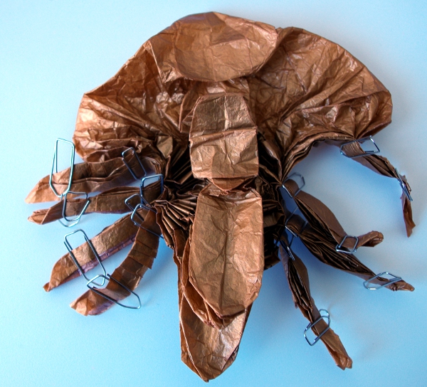 Lucanus Swinhoei Designer Pavel Nikulshin - Etape 84 vue de dessus
Pour cette étape il faut ouvrir les 4 plis superposés réalisés à l'étape 5.

