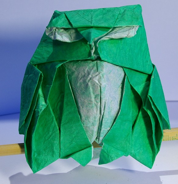 Hibou
Mon premier essai du hibou en papier sandwich : papier de soie vert, papier cuisson, papier emballage chaussures, collé au MC.

Cela donne une texture légère tenant bien la forme.
