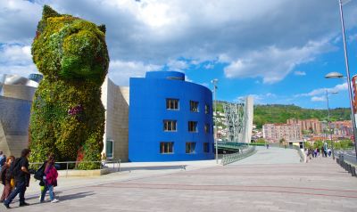 Bilbao Puppy
