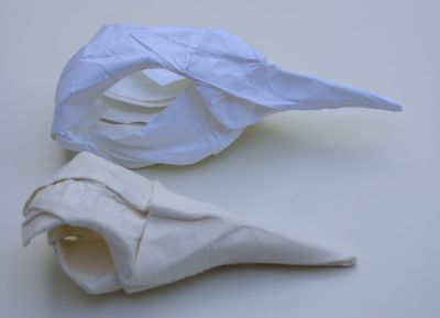 Deux cranes d'oiseaux vus de côté
Blanc : tant 35x35 cm
Ecru : canson 180 gr wet folding
