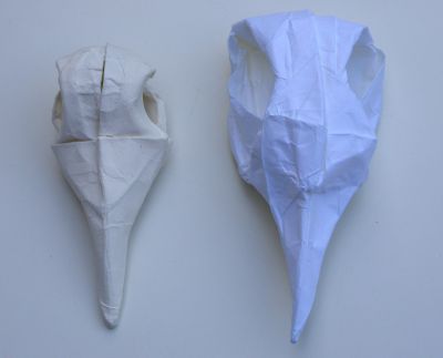 Deux cranes d'oiseaux vus de dessus
Blanc : tant 35x35 cm
Ecru : canson 180 gr wet folding
