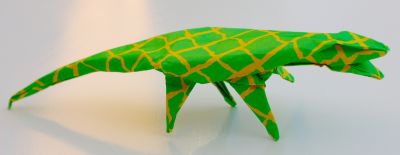 Crocodile - Ray
Papier origami 15x15 cm
