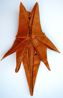 Inari Fox - Noboru Miyajima - vu de dessous
