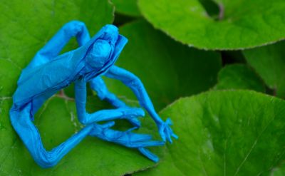 Poison dart frog de Robert J. Lang - dans la nature
feuille 31x31 cm papier acheté à Hanoï (VOG ?).

Traité au MC après pliage.
Mots-clés: origami,poison dart frog,Robert J Lang