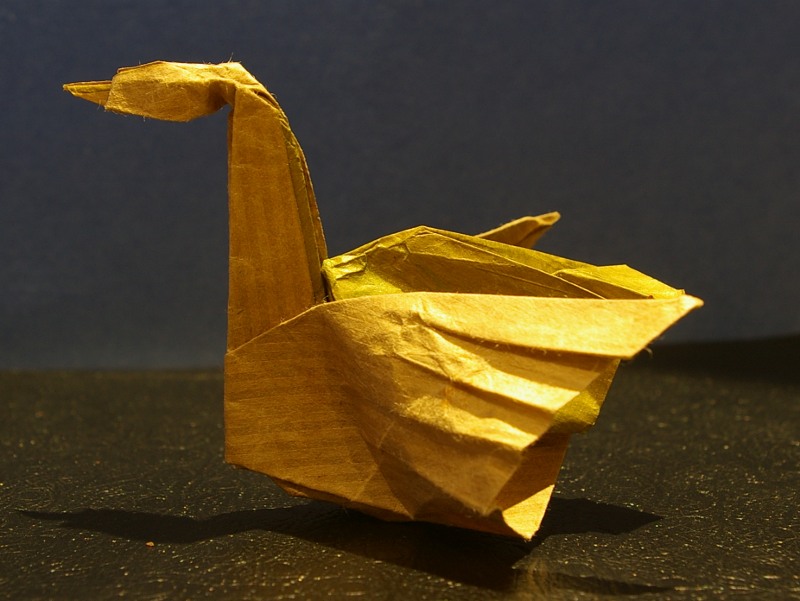 Oie cendrée au repos
Papier kraft
Mots-clés: oiseau