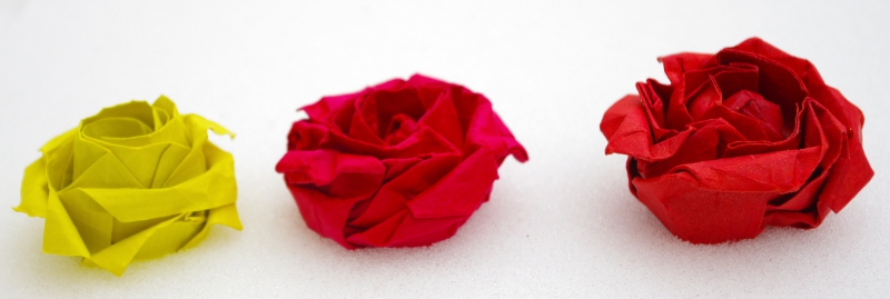Trois roses 
Les deux roses rouges sont pliées d'après le CP de Cheng Chit Leong
La rose jaune est une adaptation de la rose pentagonale de Naomiki pliée dans un carré.

