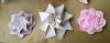 Nom du fichier=MFPP_20130316_rosette_tomoko_Fuse.jpg
Taille du fichier=216Ko
Dimensions : 1100x432
Ajouté le : 23 Mars 2013 MFPP_20130316_rosette_tomoko_Fuse.jpg