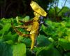 Nom du fichier=alien_warrior_kade_Chan_profil2.jpg
Taille du fichier=162Ko
Dimensions : 600x479
Ajouté le : 24 Avril 2011 alien_warrior_kade_Chan_profil2.jpg