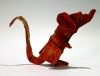 Nom du fichier=rat_Eric_Joisel.JPG
Taille du fichier=86Ko
Dimensions : 780x600
Ajouté le : 31 Janvier 2010 rat_Eric_Joisel.JPG