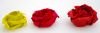 roses_dans_la_neige.JPG