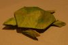 Nom du fichier=tortue_olivatre.JPG
Taille du fichier=113Ko
Dimensions : 800x538
Ajouté le : 17 Janvier 2010 tortue_olivatre.JPG