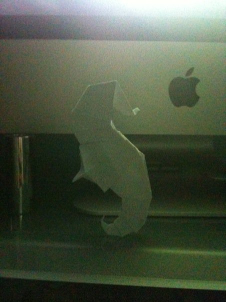 hippocampe
