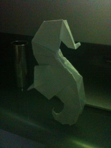 hippocampe
