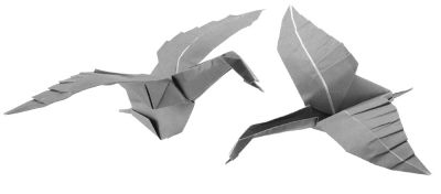 Oie cendrée en vol 2
Papier : Papier origami 15x15 55g
