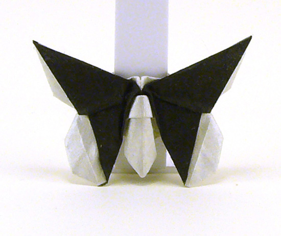 Papillon hommage 3
Modèle de M. Laffose en hommage à Eric Joisel
Papier : Papier soie blanc metalisé+alu+unryu collé de 10x10
