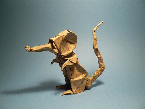 rat d'éric joisel
peau d'éléphant + wet folding.
