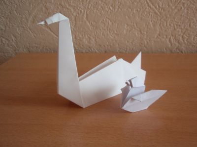 Le Cygne et son petit
