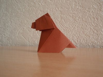 Un Chien

