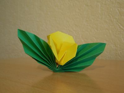 Une Fleur

