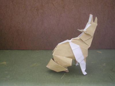un coyote (Roman Diaz)
j'ai utilisé un papier spécial origami de 15x15cm, beige et blanc, j'aurais pas dû d'ailleurs, la patte à demi blanche n'est pas du meilleur effet, ça m'apprendra à ne pas lire les recommandations de l'auteur ^^"
j'aime beaucoup ce modèle, j'ai bien l'intention de le refaire, en mieux.
