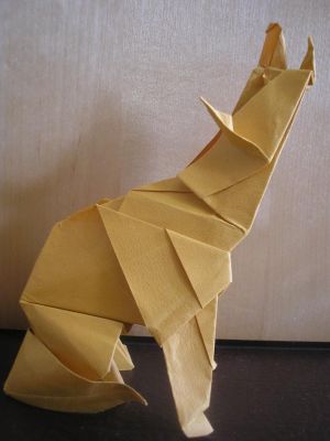 coyote, coté droit (Roman Diaz)
Tant 35x35
