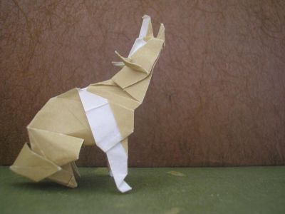 le coyote, zoom (Roman Diaz)
j'ai utilisé un papier spécial origami de 15x15cm, beige et blanc, j'aurais pas dû d'ailleurs, la patte à demi blanche n'est pas du meilleur effet, ça m'apprendra à ne pas lire les recommandations de l'auteur ^^"
j'aime beaucoup ce modèle, j'ai bien l'intention de le refaire, en mieux.
