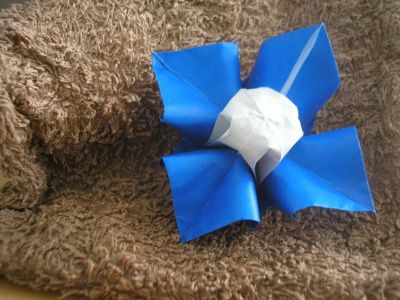 une fleur à 4 pétales (Lionel Albertino)
j'ai utilisé du papier origami standard de 15x15cm, bleu et blanc
